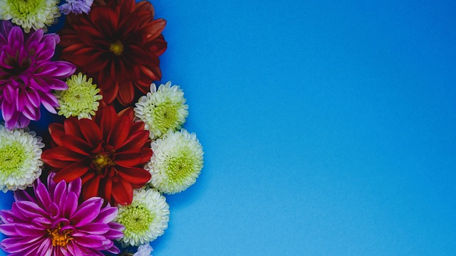 他常提到的 他常提到的