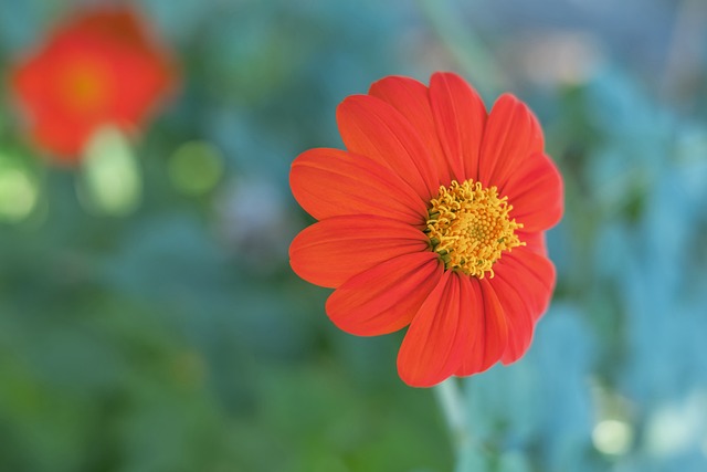 望不无道理 望不无道理