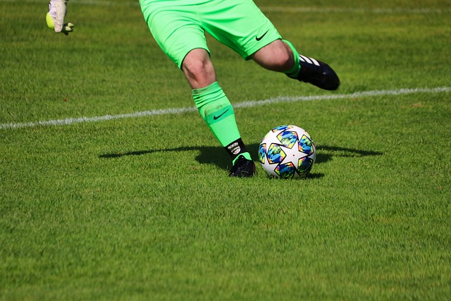 共和党的发 共和党的发