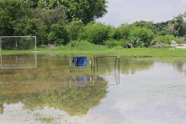 为了最大程 为了最大程